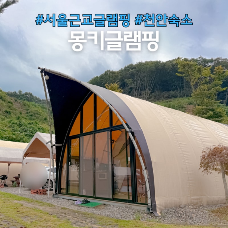 서울근교 감성 글램핑 천안 숙소 몽키캠핑장 글램핑