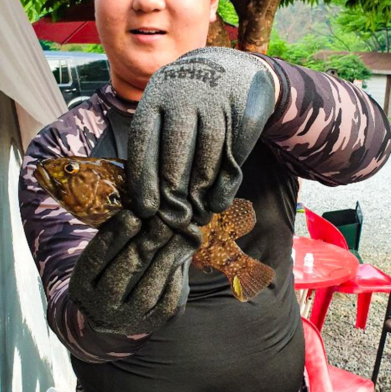 구름계곡캠핑장 시설 사진 33