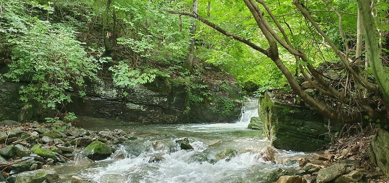 사가록캠핑장 시설 사진 4