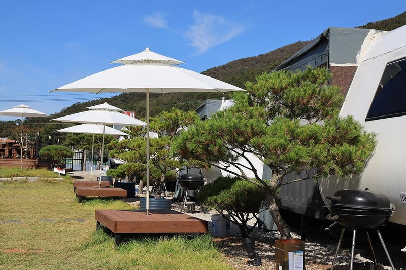 쥬라기 카라반 시설 사진 31