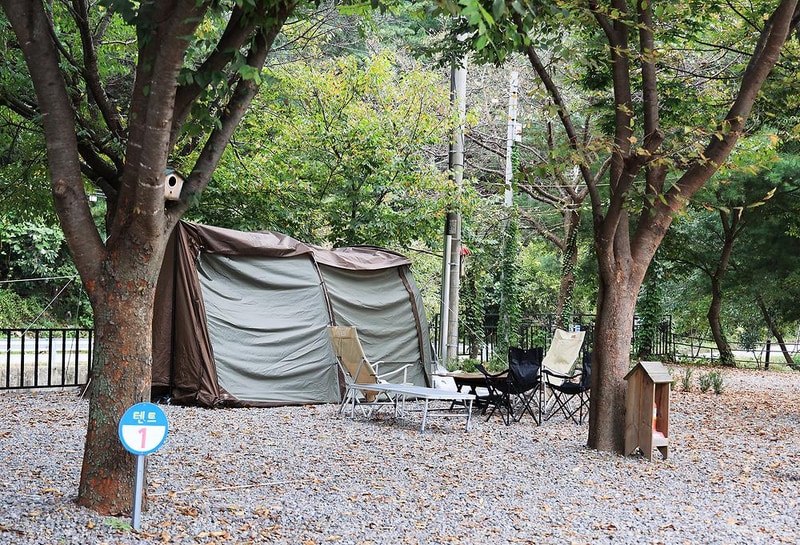 숲속에 머물다 시설 사진 3