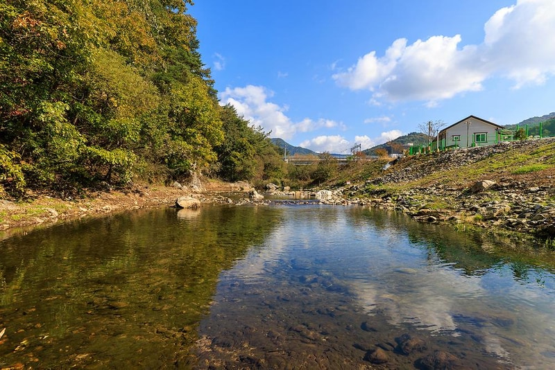 백운일출캠핑장 시설 사진 16