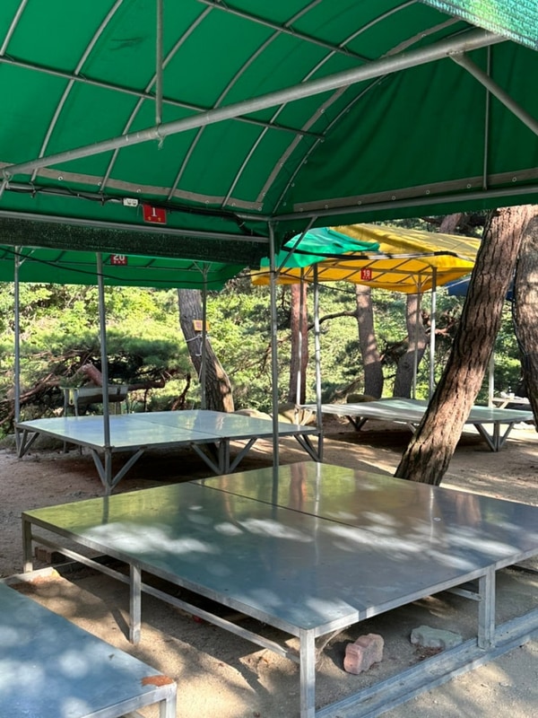 [괴산] 쌍곡계곡 ‘솔밭캠프’ 평상 대여 후기 ⛱️