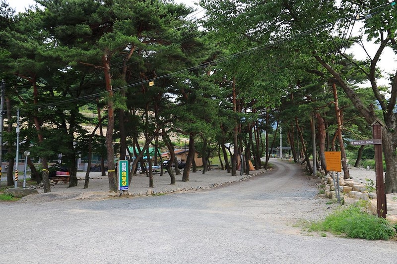 울산 힐링캠프 시설 사진 2