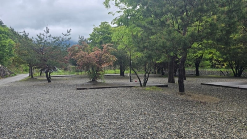 가평 포시즌 캠핑장에서 여름 나기