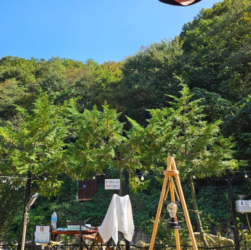 계곡소리가 들리는 숲속에 있는 경주 양남 라라캠핑장