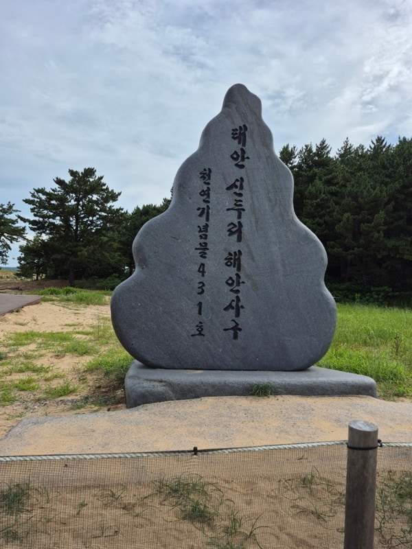 여름 휴가 신두리 오렌지 캠핑장
