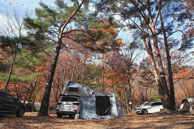 참나무숲 오토캠핑장 시설 사진 13
