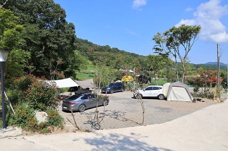 연꽃자리캠핑타운 대표 사진