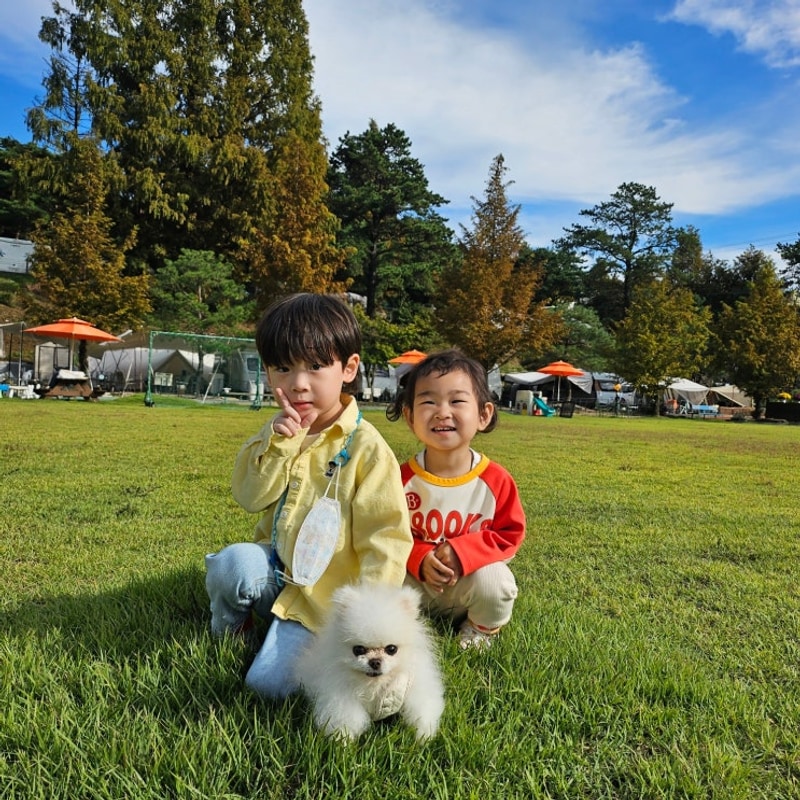 양평 애견동반 캠핑장 솔뜰캠핑장 추천 장박, 배치도