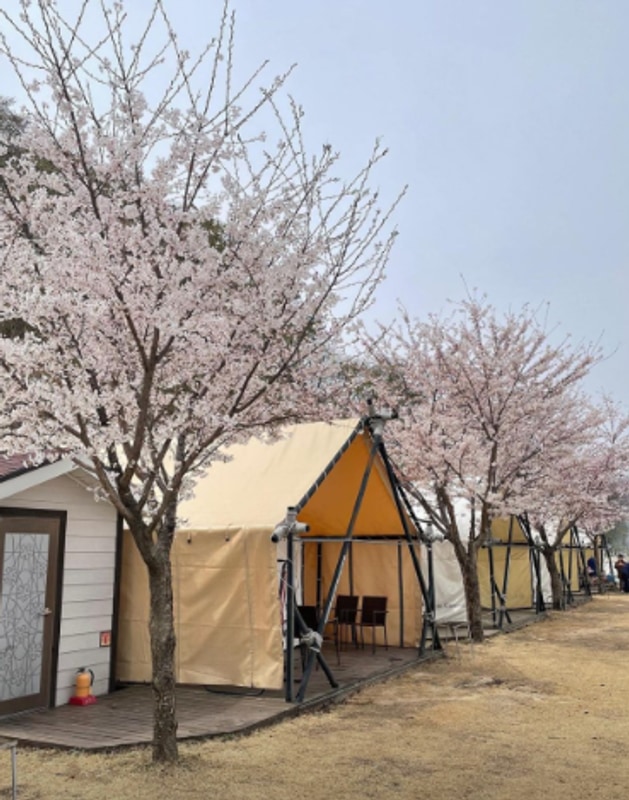 아이와 함께 오감만족! 포항 엘포리글램핑에서 여름휴가 즐기기