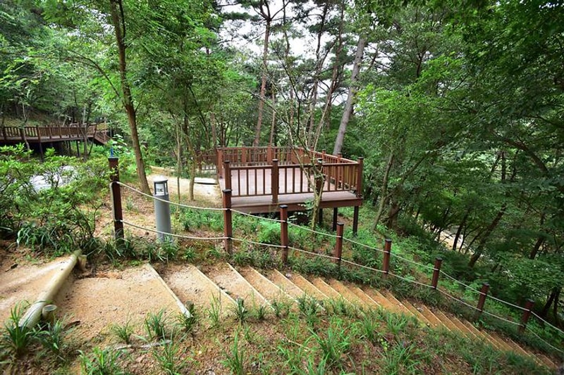 청계동 솔바람야영장 대표 사진