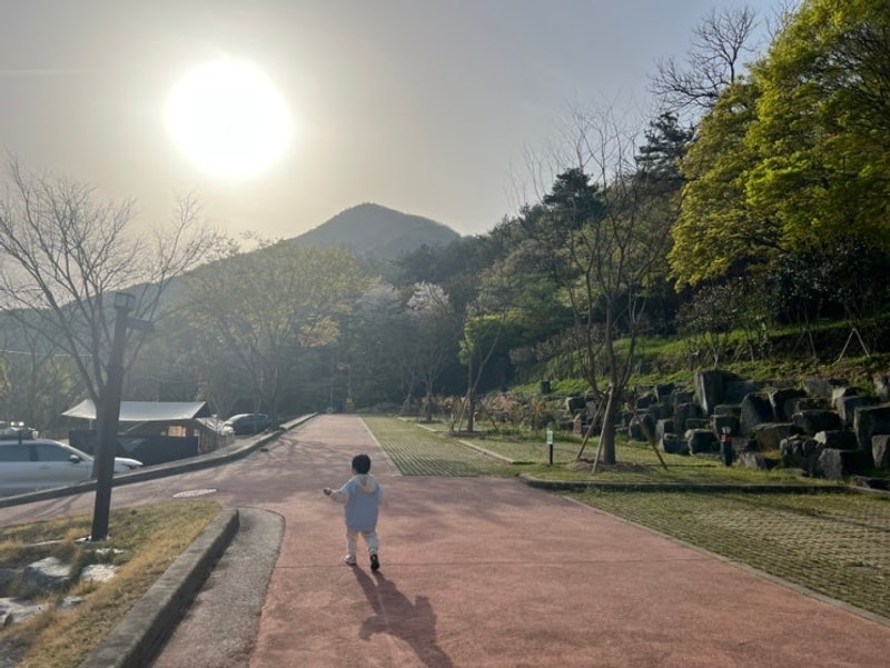 아이랑 가기 좋은 캠핑장 추천: 화순 한천자연휴양림캠핑장