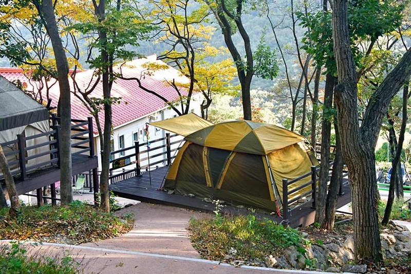 신어산자연숲캠핑장 대표 사진