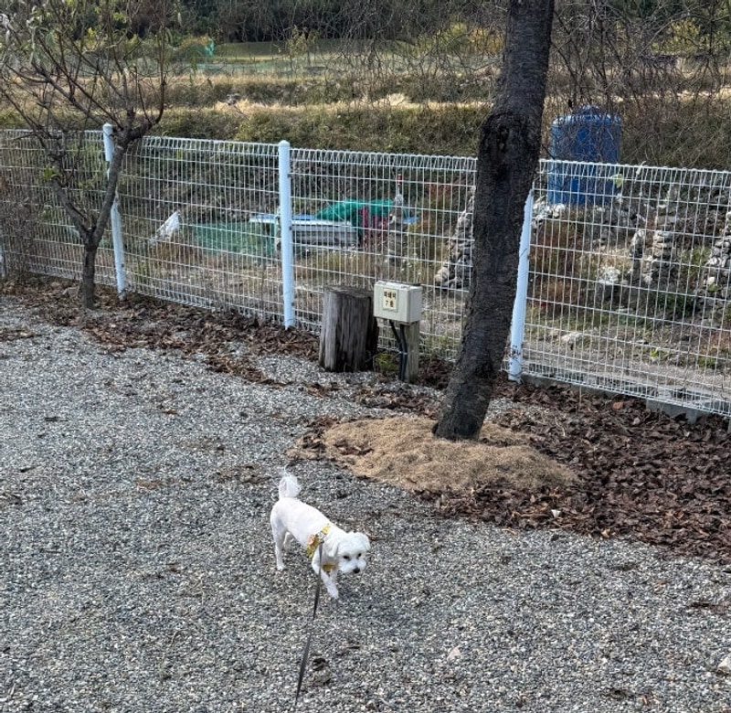 1~11.2일 캠린이 캠핑다녀왔습니다. 경북 김천 우리동네캠핑장