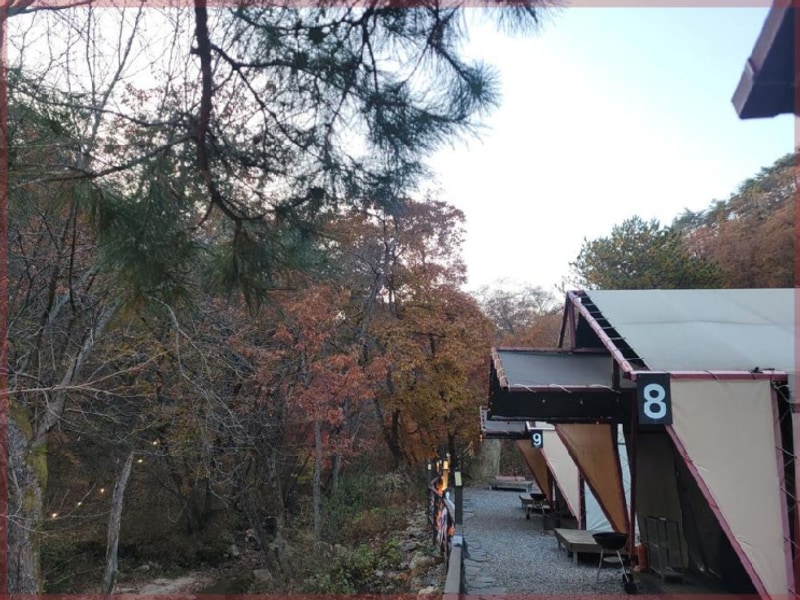 포천 산중호걸 글램핑카라반, 자연 속의 힐링 오아시스