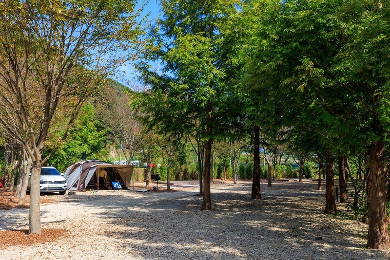 금산 자연 오토캠핑장 시설 사진 19