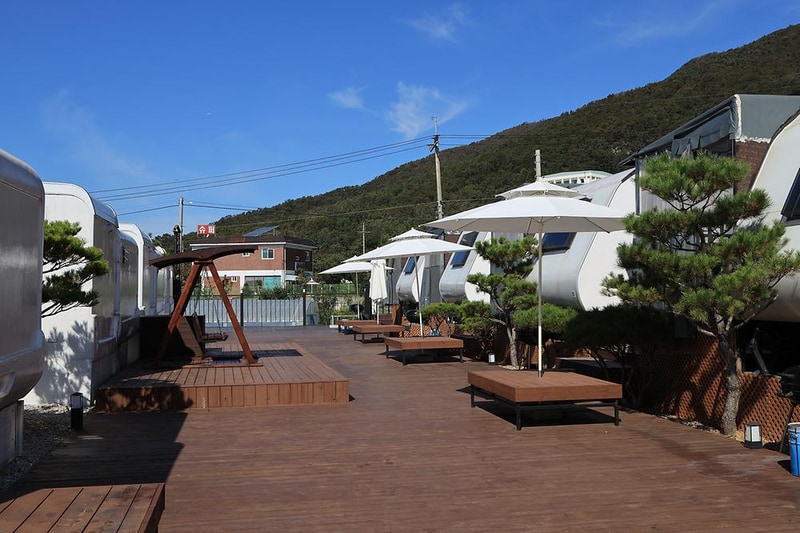 쥬라기 카라반 시설 사진 30