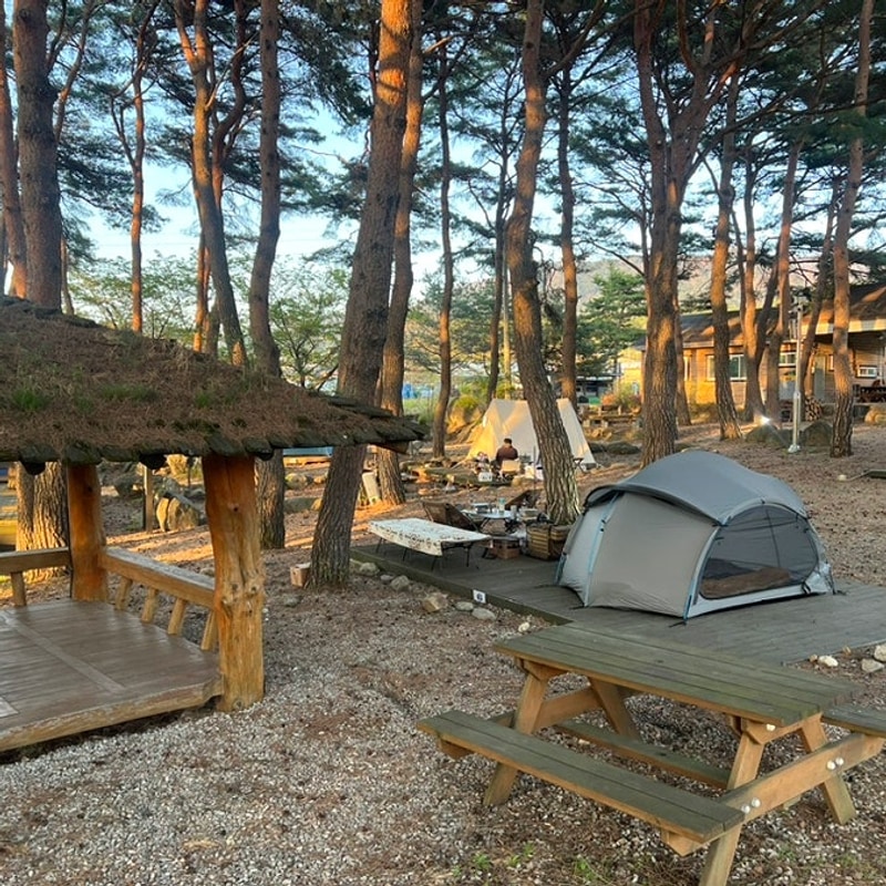 무주 가볼만한 곳 캠핑장 추천 | ‘무주솔밭캠핑장’ 재방문 후기