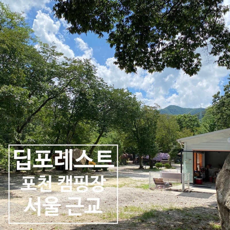 서울 근교 한시간 포천캠핑장 딥포레스트 추천, 캠핑톡