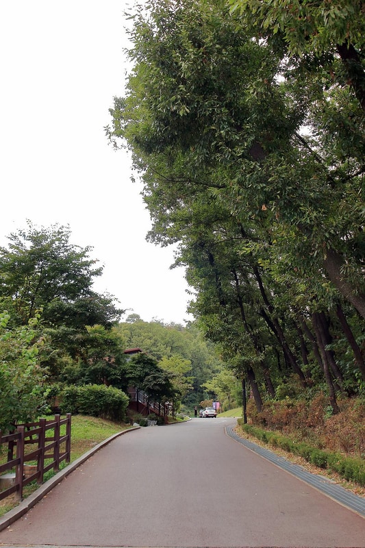 광명도덕산캠핑장 시설 사진 9