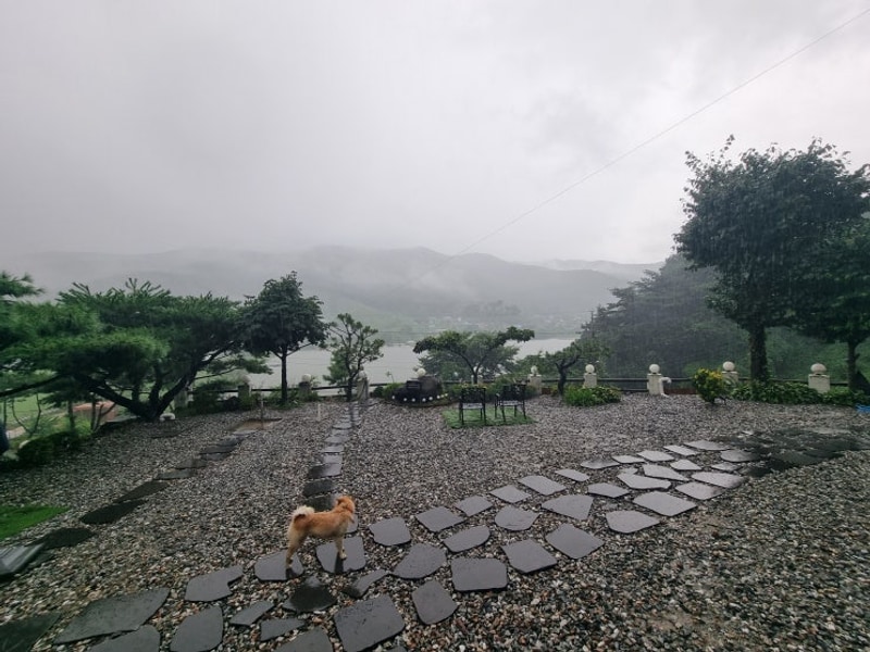 아산 독채펜션 글램핑 할 수 있는 곳 [배방알프스]