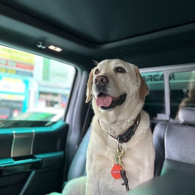 카캠그라운드 가평 캠핑장(카캠오너스캠핑장) 청소!