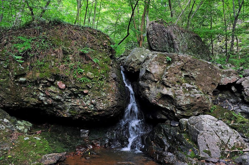 유치 자연휴양림 시설 사진 15