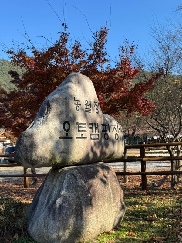 함양 농월정 오토캠핑장 24번 사이트 가을단풍 리뷰 ! 내돈내산...