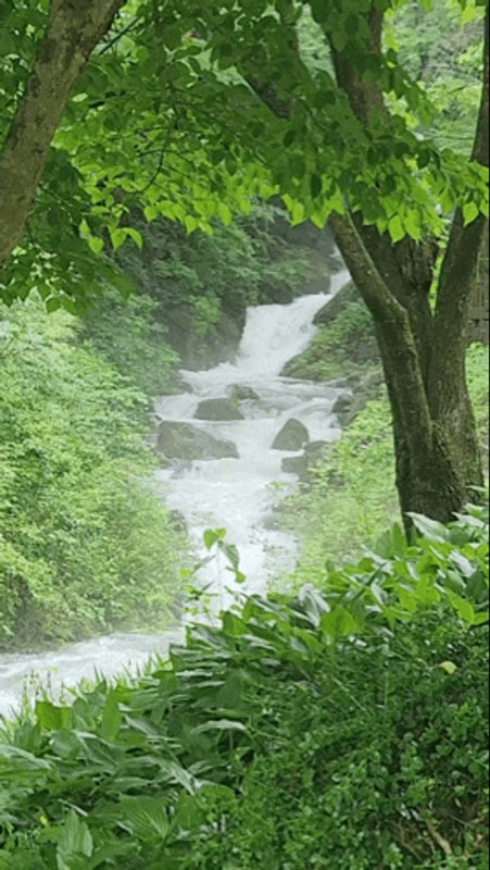 정선 계곡펜션 강원도 숲속펜션 정선 도원펜션 캠핑장