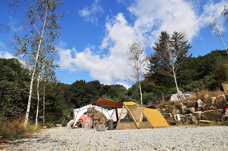 알지캠프266 대표 사진