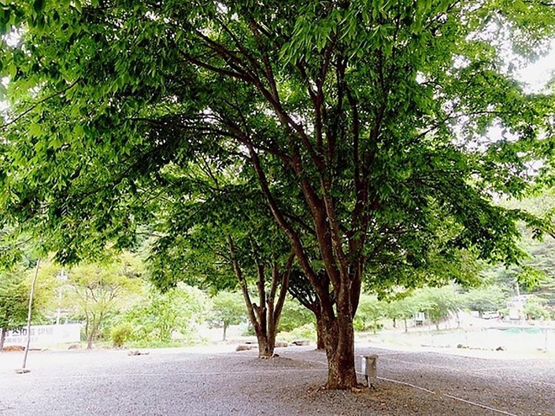 월악파머스캠핑장 시설 사진 10