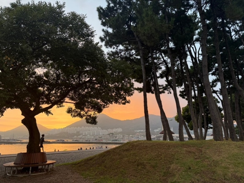 여수 웅천친수공원 야영장 완벽 가이드 / 당일캠핑,캠크닉 추천