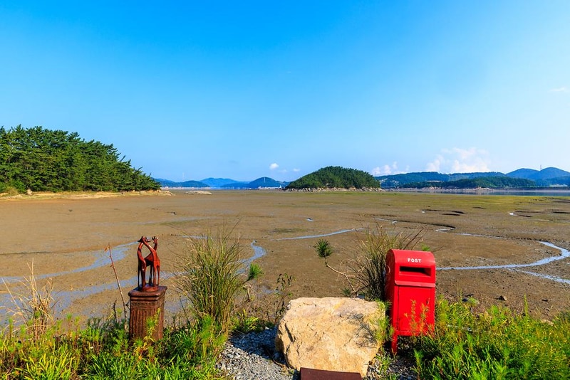 THE쉼오토캠핑장 시설 사진 3