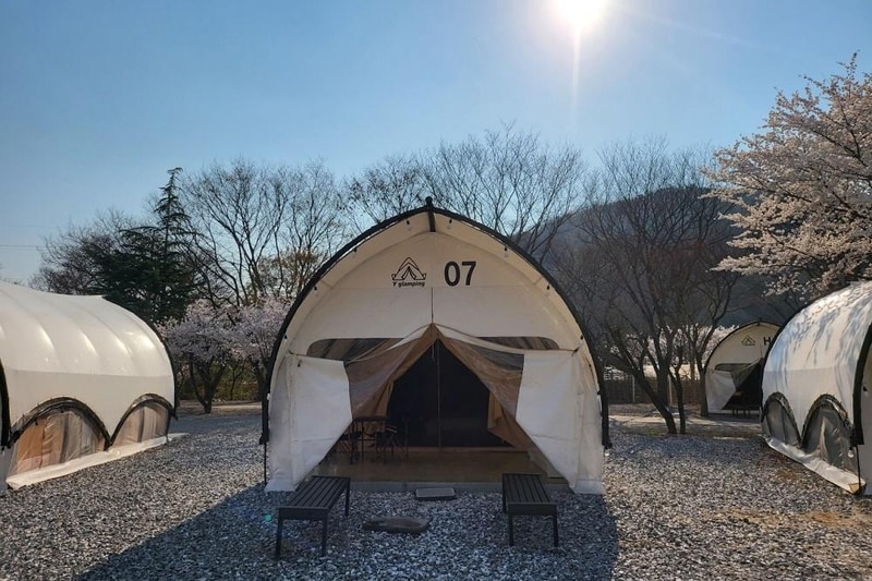 Y글램핑 시설 사진 11