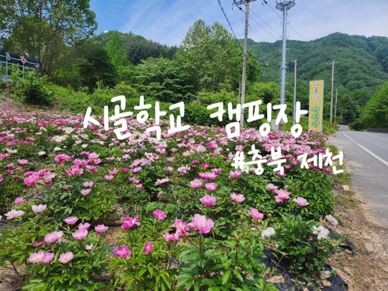 [제천 캠핑장] 수영장, 실내... 키즈 시설이 풍부한 시골학교캠핑장