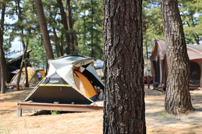 맹방 비치캠핑장 시설 사진 7