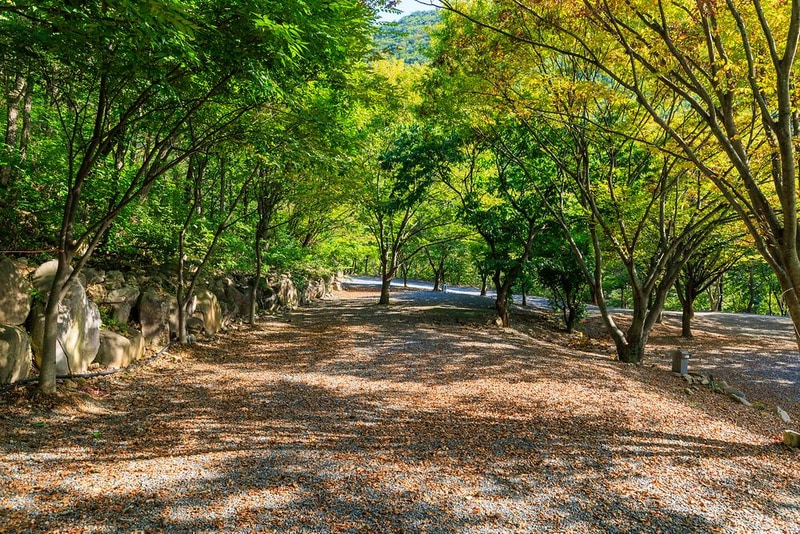 약초농원 캠핑장 시설 사진 17