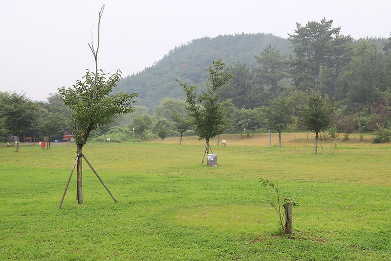 숲속의드림캠프야영장 시설 사진 11