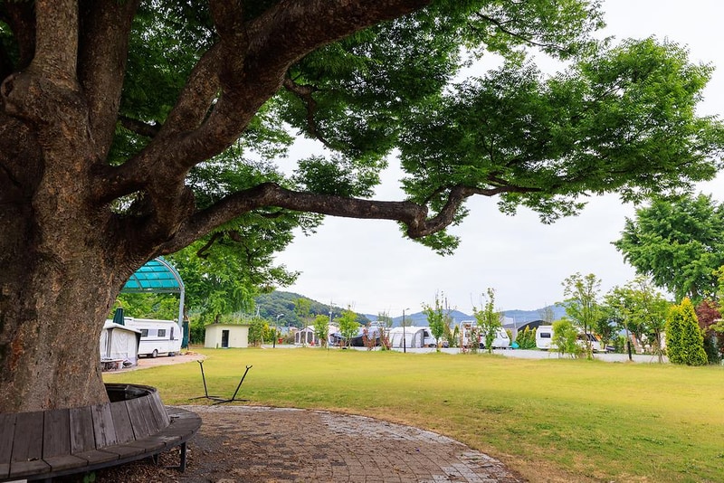 웰니스 권역 야영장 시설 사진 9