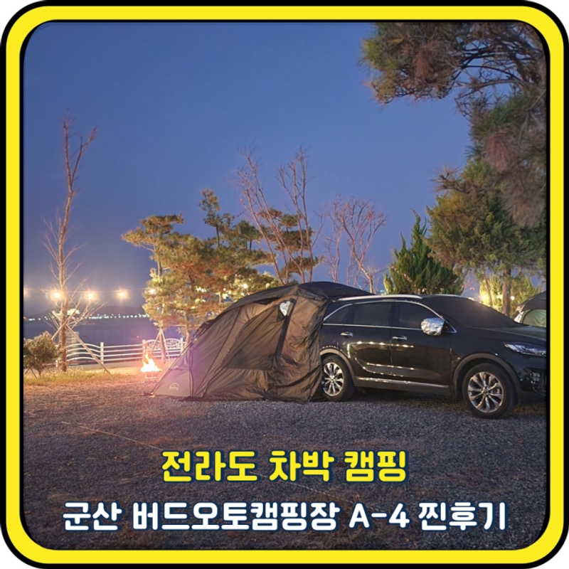 전라도 차박 캠핑 군산 버드오토캠핑장 A-4 찐후기