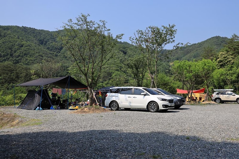 월드니스 시설 사진 9