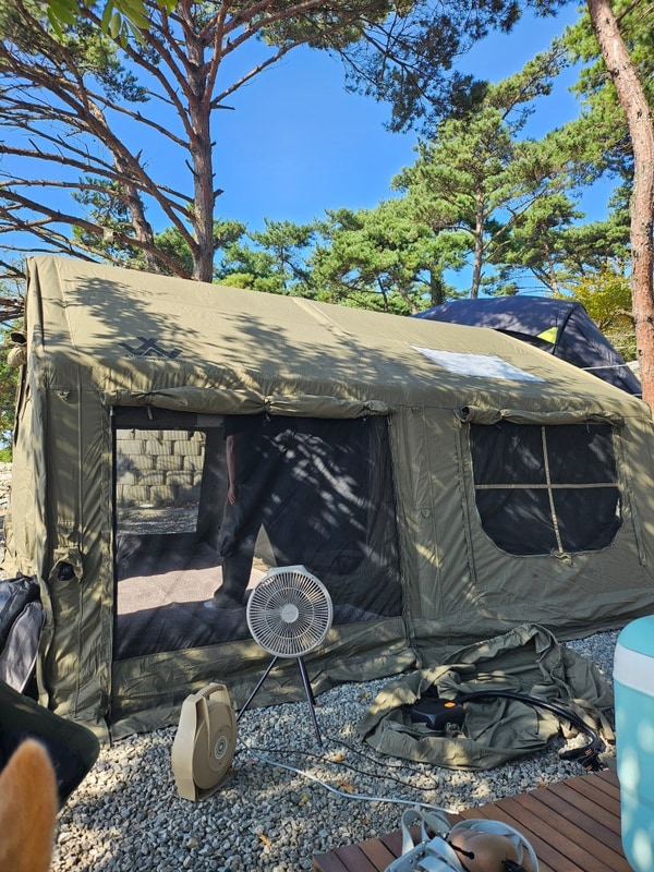 애견 동반 가능한 보령 바다야 놀자 캠핑장