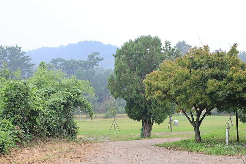 숲속의드림캠프야영장 시설 사진 16