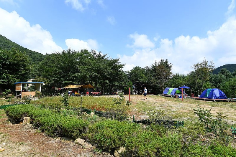 지리산 숲속의 쉼터 시설 사진 5