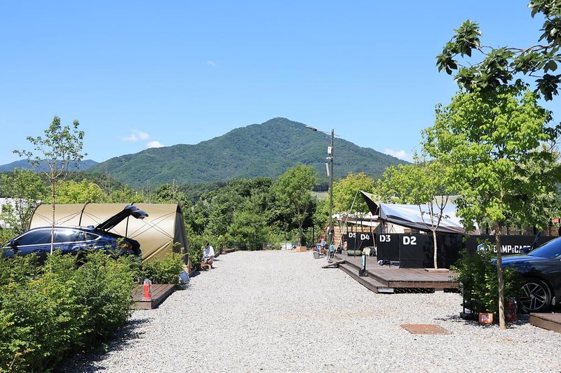 일칠일관광농원 시설 사진 13