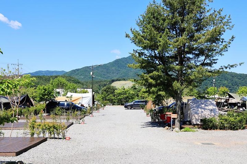 일칠일관광농원 대표 사진