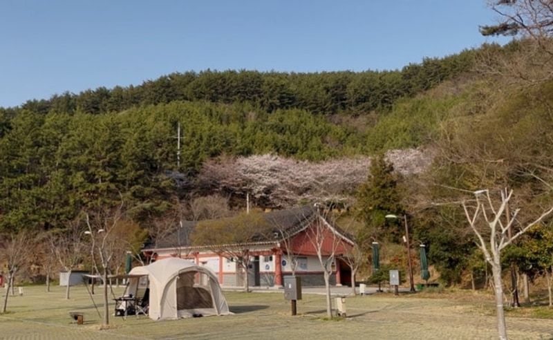 캠핑과 낚시 동시 가능! 통영 한산도 통제영 오토캠핑장