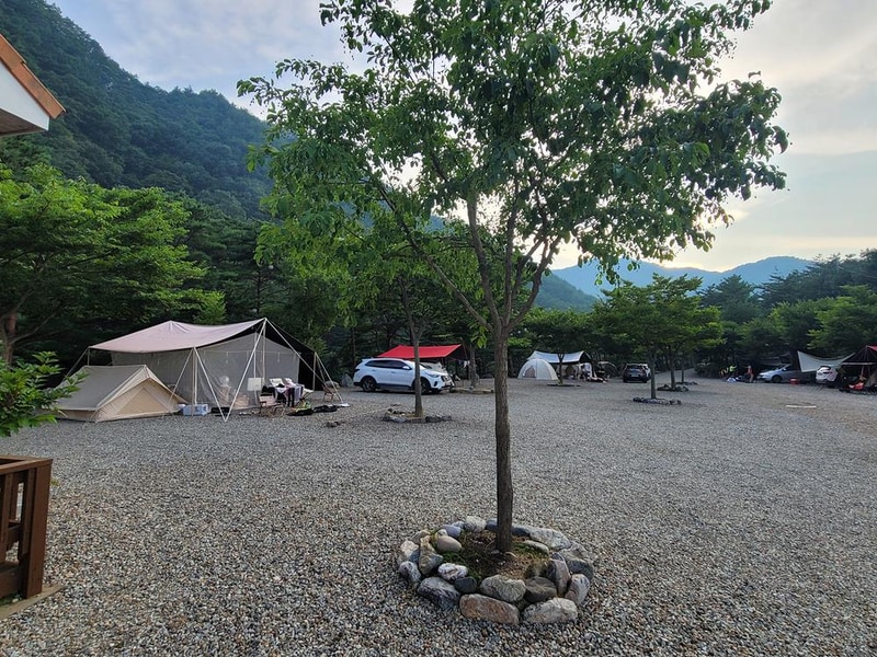 왕피천하늘담야영장 시설 사진 2