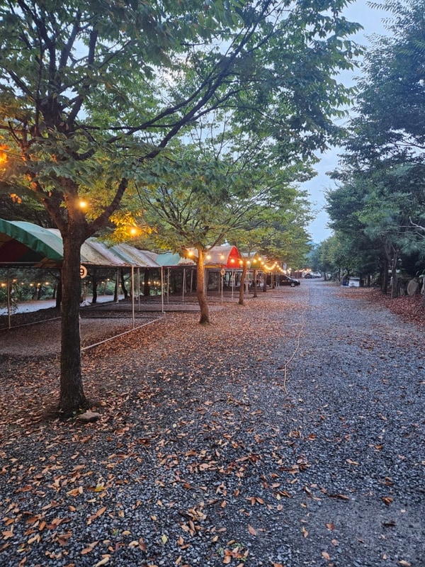 [영월 캠핑장] 인생 N 번째 캠핑장, 무릉도원 캠핑장